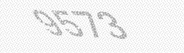 Visual security code — type the characters shown in the image